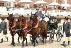 Attacchi: Dal punto di vista del Giudice
