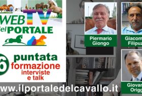 Rivedi subito l’ultima puntata della WebTV