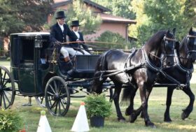 2024 – L’anno del cinquantesimo dalla fondazione del GIA è alle porte.