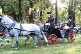 Attacchi: Una domenica Spettacolare