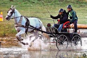 Festival di Attacchi ai Pratoni