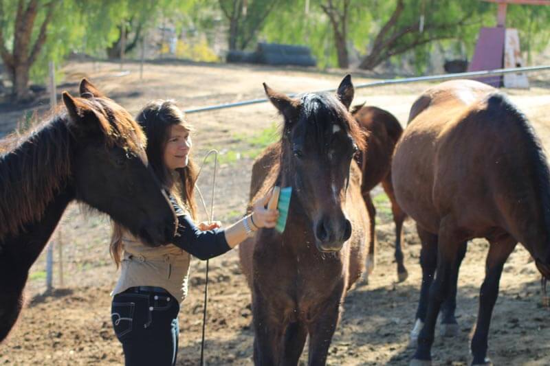 Alessandra-Deerinck_IMG_0618