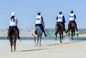 Savini quarta a Ehrhardt, Marras sesta a Dubai. Vigevani in gara a Butheeb