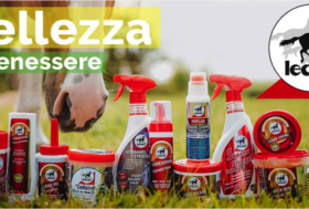 Leovet > Nuovi Set completi per l’Igiene e il Benessere del Cavallo