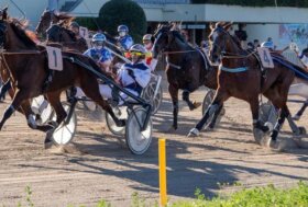 Arcoveggio: Primo Maggio con le spettacolo delle corse al trotto e tante attività per le famiglie nel parterre!