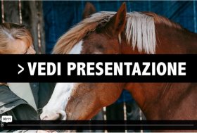 Corsi online del Portale del Cavallo: ancora per poco 20% di sconto su tutti i corsi