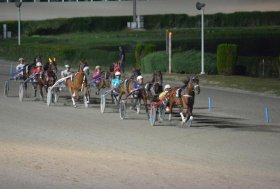 Venerdì 7 novembre trotto a Montegiorgio, una festa per gli appassionati con Grottazzolina nel Cuore