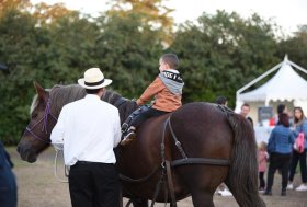 Quando i cuccioli hanno “il papà”. Festa del papà in chiave animale