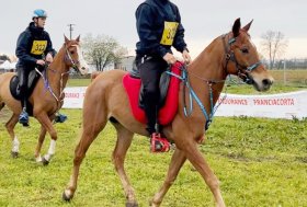 Endurance – bene i Binomi Valdostani impegnati fuori valle