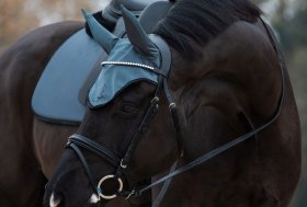 Oltre 500 nuovi prodotti per Cavallo e Cavaliere!