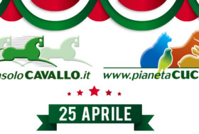 Anniversario della Liberazione d’Italia