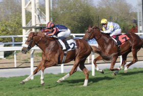All’ippodromo Snai San Siro bella domenica di sole e di pubblico con Conformist che vince la corsa più tecnica della 6^ giornata per il Premio Aria Club Milano, condizionata sul miglio per i cavalli di 3 anni