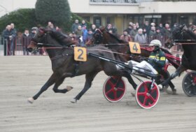 Ippodromo di Bologna: venerdì focus su Zaccherini e Gravina Mf