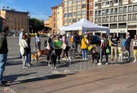 Bologna, domenica ZAMPALONGA ai Giardini Margherita per la Scuola Cani Guida per Ciechi Lions