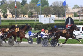 All’ippodromo di Bologna, giovedì 22 maggio con tre e quattro anni dalle mire classiche, al termine TQQ – “Premio Luzzara”