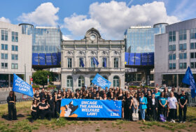 Revisione della legislazione UE sul benessere degli animali: Essere Animali e altre organizzazioni europee in azione davanti al Parlamento a Bruxelles