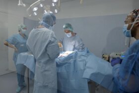 Il Policlinico Veterinario Gregorio VII protagonista di “Pet Anatomy”