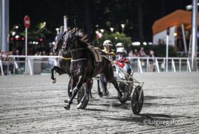 Ippodromo di Cesena: martedì 1 luglio, dalle 20:55 corsa Tris ed esordio dei debuttanti