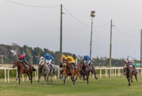 Ippodromo Federico Caprilli la Fiamma (dei Grif) che illumina il Caprilli