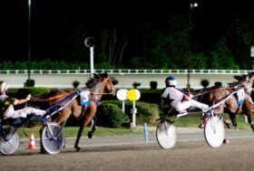 Montegiorgio, domenica un tuffo nel cuore del trotto con sette prove tra passione, qualità e incroci interessanti