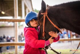 Ponyadi KEP Italia 2025: i Pony Gladiator del Lazio pronti a scendere in Arena per il Reining!
