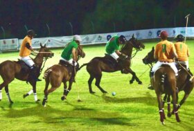 Italia Polo Challenge. Sardegna, cavalli e sport equestri, nei numeri della fise la grande passione