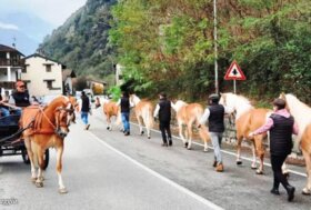 In Carrozza. Si parte! Somaggia in festa
