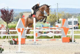 Salto ostacoli: la Fise Sardegna programma l’attività di formazione del settore giovanile con gare