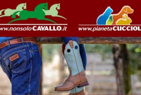 Appassionato di Monta Western? Sfrutta lo Sconto Extra Premium e scegli il Regalo