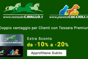 Da -35% a -80% in Outlet + Extra Sconto da 10% e 1 Regalo per Clienti Premium