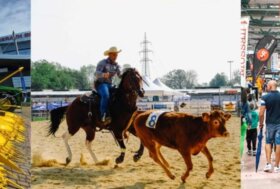 La Fiera di Sant’Alessandro ti aspetta, ma non per molto… ultimi stand disponibili!