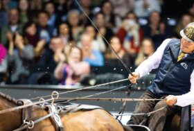 Un nuovo record per Boyd Exell