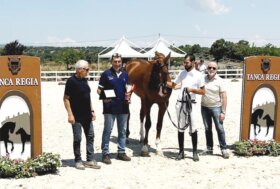 Rassegna puledri Asvi a Tanca Regia: fra i 3 anni vittorie degli anglo arabi Ginetta e Già ti amo delle Terre Sarde