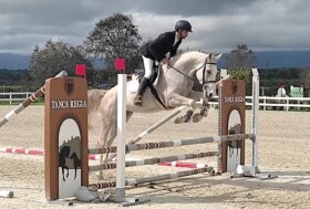 Allevamento e sport equestri: a Tanca Regia la rassegna Asvi per 180 puledri di due e tre anni nati e allevati in Sardegna