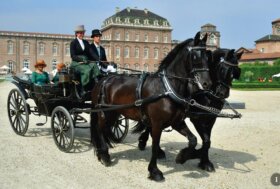 Attacchi: Carrozze da Fiaba