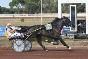 A Montegiorgio, mercoledì il trotto sotto le stelle Cadentinel nel nome di Costantino Romanelli
