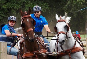 Mondiale Pariglie di Beekbergen, Grasso migliore azzurro in gara