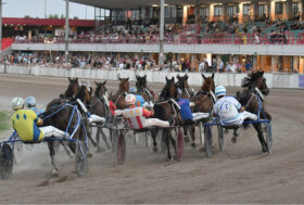 Sabato sera all’ippodromo Snai Sesana ultima di trotto in agosto con sette corse valide per la 13^ giornata 