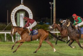Ippodromo Federico Caprilli resoconto giornata di corse di domenica 3 agosto 2025