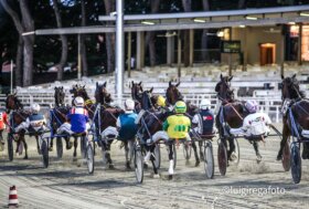 Cesena Trotto, corse di martedì: Premio Azienda Agricola Daltri Guido