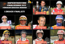 Ippodromo di Cesena: Finalissima Superfrustino martedì 26 agosto, si sfidano le star delle redini lunghe. Dalle 20:35, la sfida è aperta