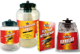 Come catturare le mosche nelle aree esterne