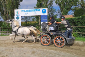 Successo dello Sport Attacchi ad Alessandria