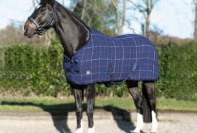 NOVITA’ > Coperte per Cavalli e Cappottini per Cani 🐾🐾 E approfitta degli Sconti