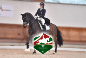 Campionati Italiani Assoluti DeNiroBootCo: ad Ornago le stelle del Dressage e Paradressage