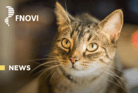 Nota del Gdl Farmaco Fnovi sulla terapia della FIP