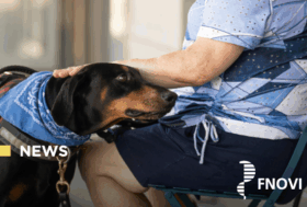 Riconoscimento e regolamentazione del settore di cani di assistenza: FNOVI al ‘tavolo tecnico’