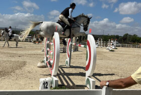 250 iscritti a Tanca Regia per le semifinali del Trofeo Asvi per cavalli di 4, 5, 6 e 7 anni e oltre