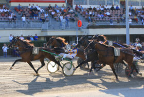Arcoveggio: giovedì, otto corse. TQQ “PREMIO RINCONADA” finale con sedici partecipanti