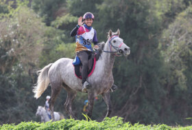 Ego Agylla, il giovane purosangue arabo del Fuxiateam, incoronato miglior “5 anni d’Italia”